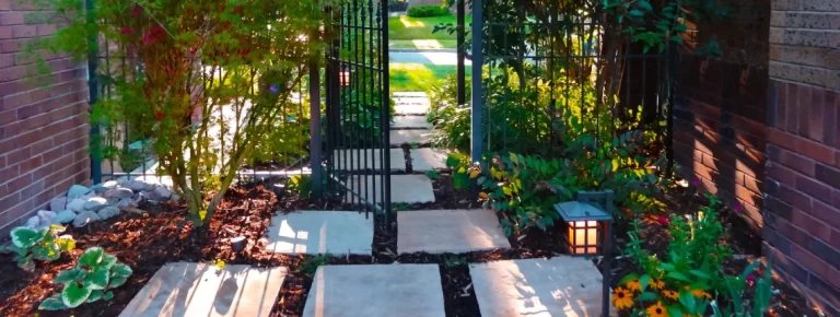 How a Landscape Architect in Denver Designs for Summer Heat and Drought landscape design for heat drought in denver