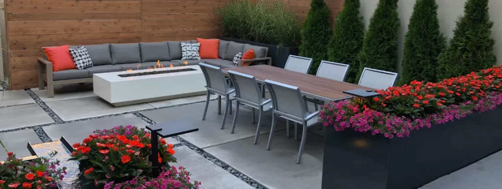 drought tolerant plants denver landscapes