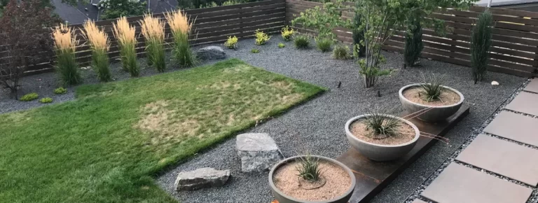 Landscape Designer vs. Architect: Which Denver Professional Do You Really Need? landscape designer vs architect in denver