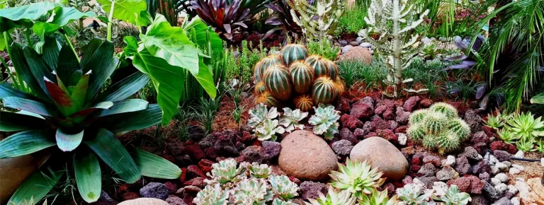 Xeriscape Design for Denver: Create Beautiful, Low-Water Landscapes xeriscape design for denver