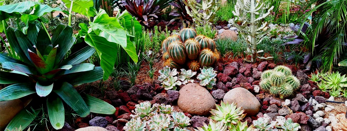 xeriscape design for denver