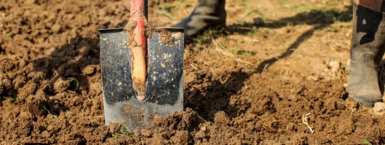 Denver Clay Soil Landscaping: Why It Is Destroying Your Yard and How Professionals Fix It denver clay soil landscaping