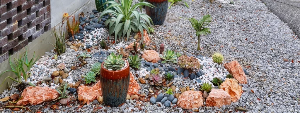 denver water xeriscape rebate in 2026