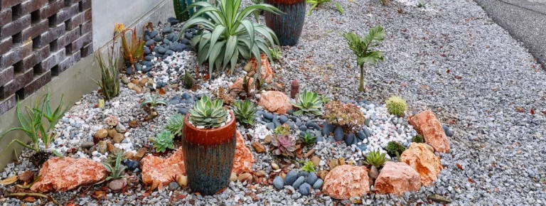 How to Get a Denver Water Xeriscape Rebate in 2026 and Save Up to $10,000 denver water xeriscape rebate in 2026